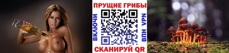 Купить  Екатеринбург  Галлюциногенные грибы Cubensis